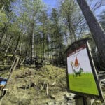 A 4 zampe nel bosco: guida felice (e consapevole) alle Foreste Casentinesi con il cane 5 Foreste Casentinesi - Parco Sentiero degli Gnomi