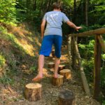 A 4 zampe nel bosco: guida felice (e consapevole) alle Foreste Casentinesi con il cane 6 Foreste Casentinesi - Parco Sentiero degli Gnomi
