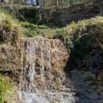 A 4 zampe nel bosco: guida felice (e consapevole) alle Foreste Casentinesi con il cane 8 Foreste Casentinesi - Parco Sentiero degli Gnomi