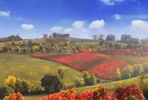 News 176 autunno in emilia-romagna
