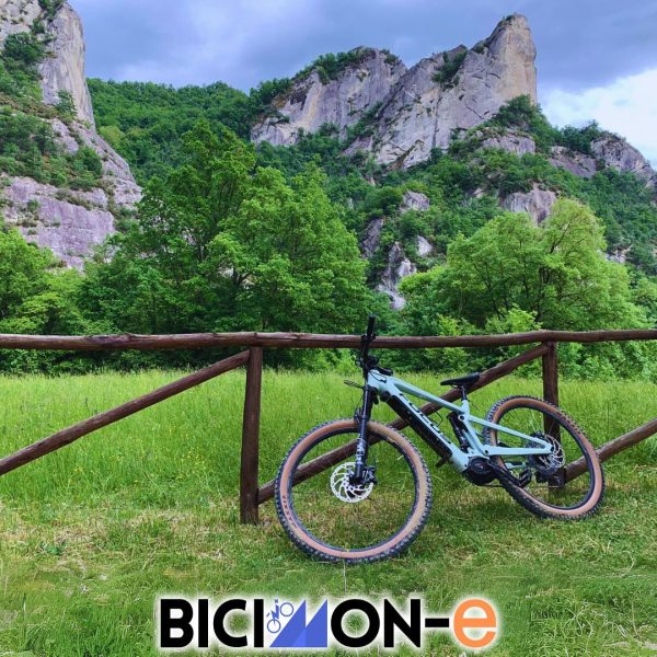 TOGOLOCO-SCHEDE-EMOZIONI-BICIMONE-02 (1)