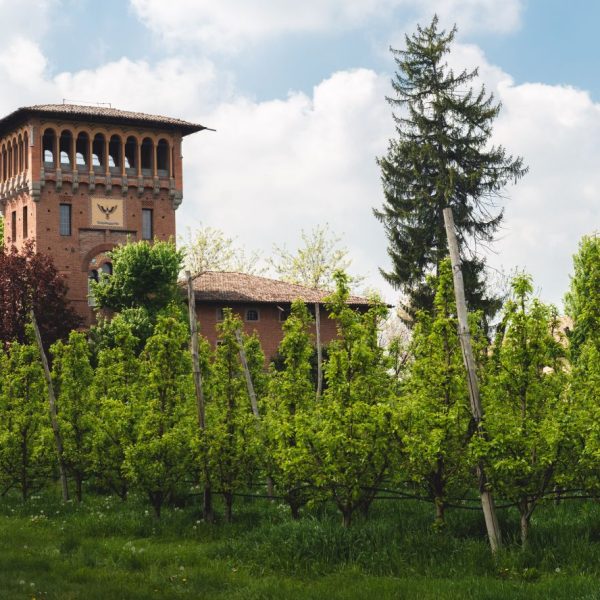 Cammino dell'Unione (MO) - La torre nel verde