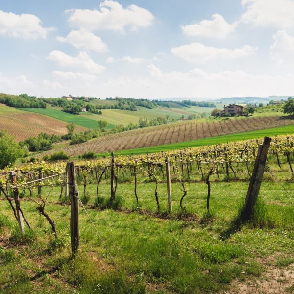 Cammino dell'Unione (MO) - Veduta panoramica