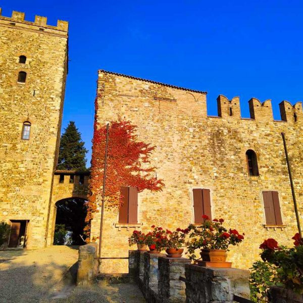 Borgo di Castellarano (RE) - Veduta esterna del Castello
