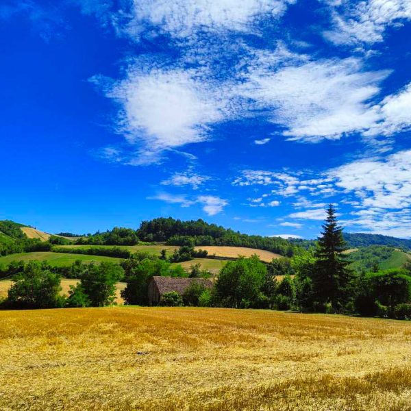 Borgo di Vigoleno (PC) - Veduta delle colline
