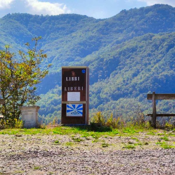 Borgo di Votigno (RE)- Contenitore di libri con veduta su collina