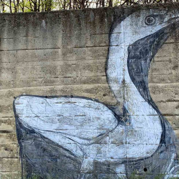 Borgo di Castellarano (RE) - Murales oca