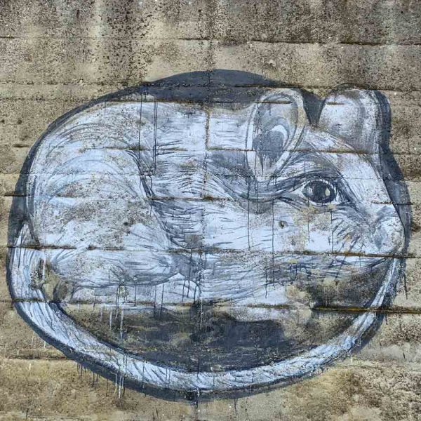 Borgo di Castellarano (RE) - Murales raffigurante un topo