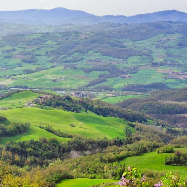 Castello di Carpineti (RE)- Veduta panoramica