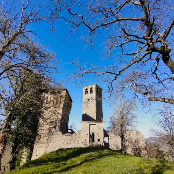 Castello di Sarzano (RE) - Vista del castello dal giardino