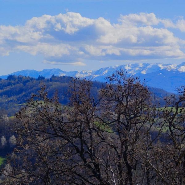 Castello di Sarzano (RE) - Vista panoramica delle colline