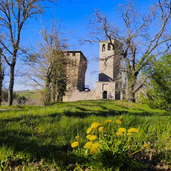 Castello di Sarzano (RE) - Vista del castello dal giardino