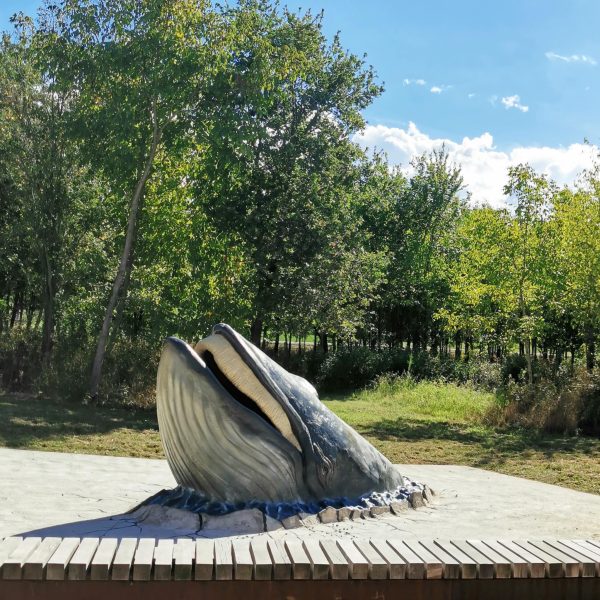 Museo Mumab (PC) - Riproduzione della balena Giorgia