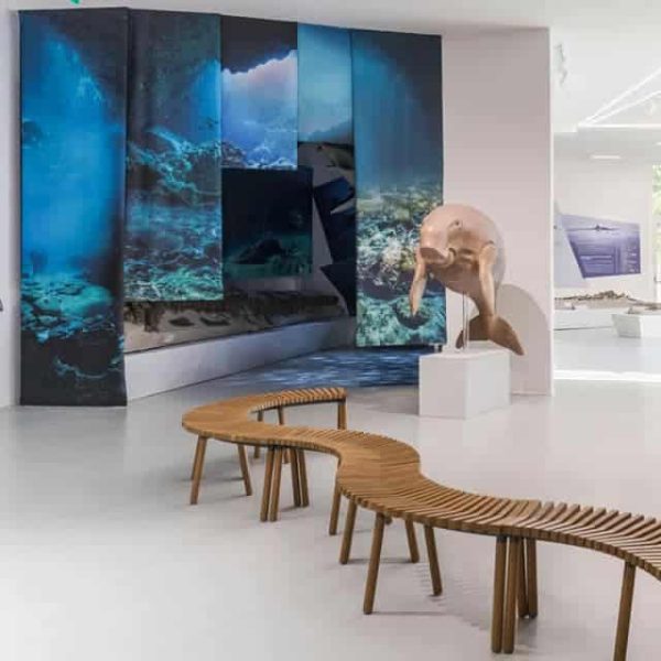 Museo Mumab (PC) - Sala interna
