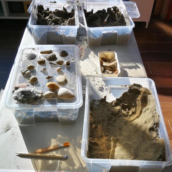 Museo Mumab (PC) - Scatole con conchiglie e sabbia
