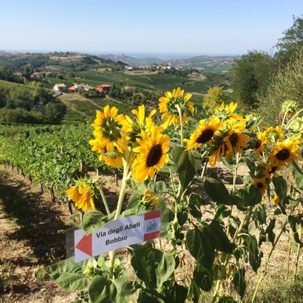 TOGOLOCO_SCHEDE_NATURA-ANTICHE-VIE-VIA-DEGLI-ABATI_025