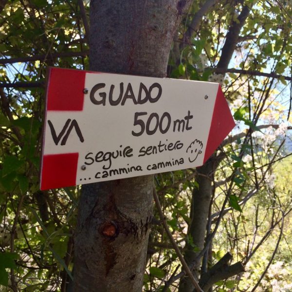 TOGOLOCO_SCHEDE_NATURA-ANTICHE-VIE-VIA-DEGLI-ABATI_029