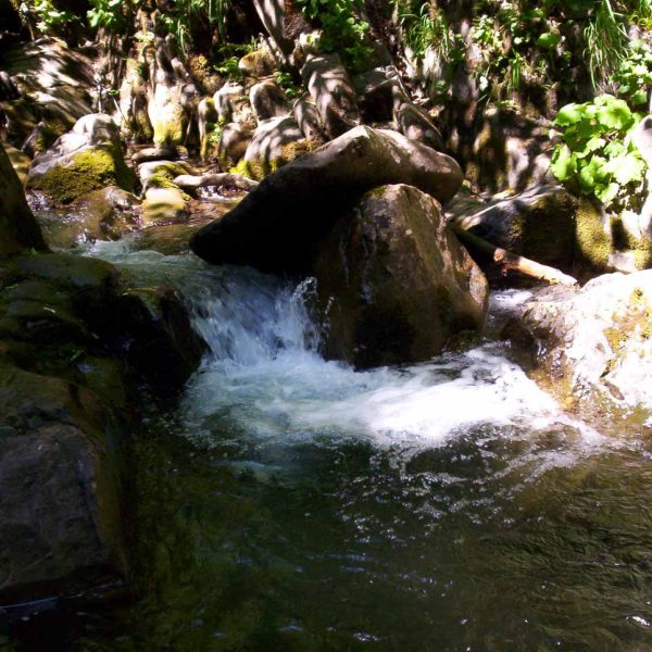 Cascate del Dardagna (BO)