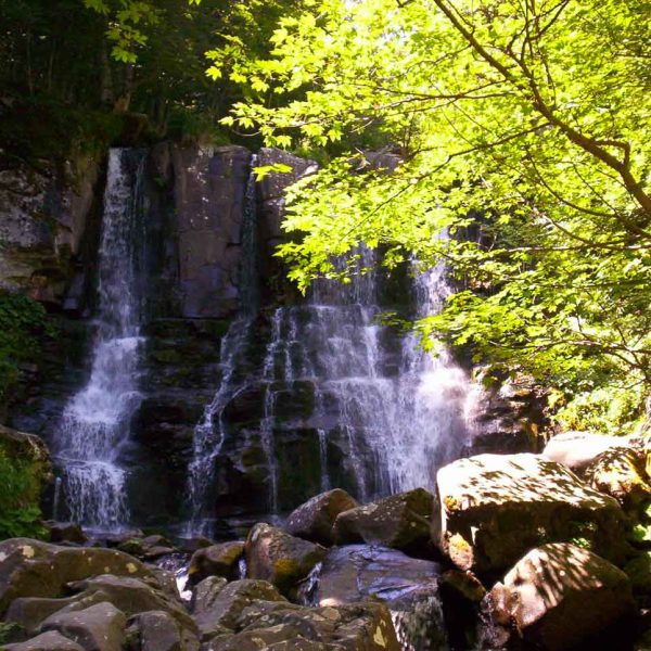 Cascate del Dardagna (BO)