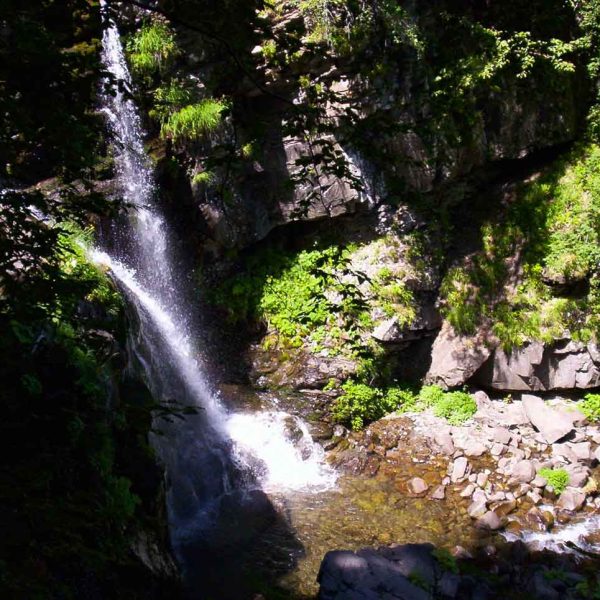Cascate del Dardagna (BO)