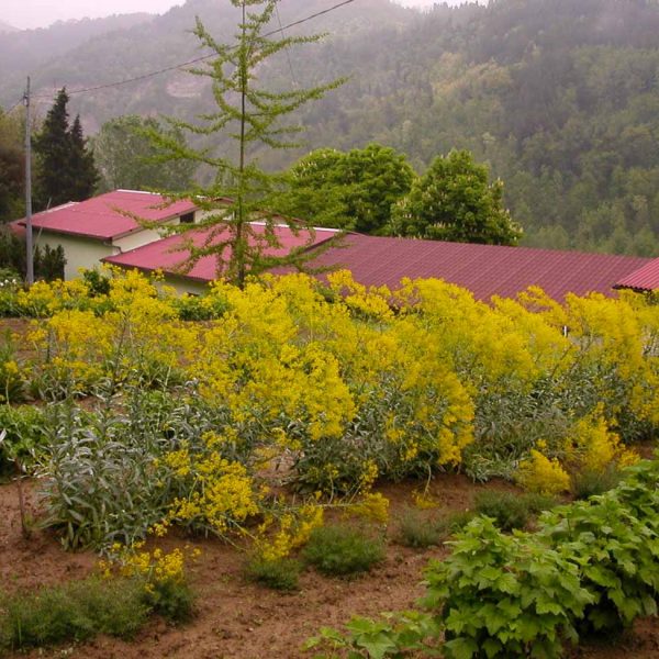 TOGOLOCO_SCHEDE_NATURA-GIARDINO DELLE ERBE_011