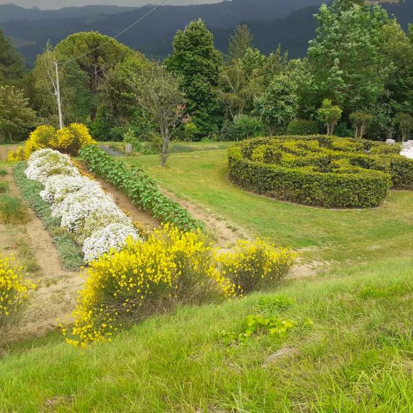 TOGOLOCO_SCHEDE_NATURA-GIARDINO DELLE ERBE_03