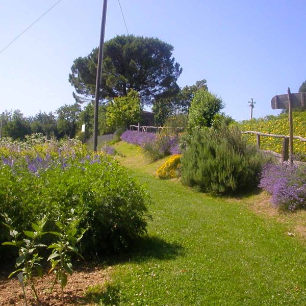 TOGOLOCO_SCHEDE_NATURA-GIARDINO DELLE ERBE_08