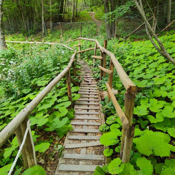 TOGOLOCO_SCHEDE_NATURA-GIARDINO ESPERIA_01