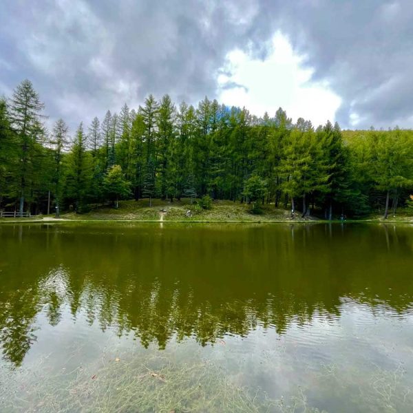 Lago della NInfa (MO) - Vista del lago