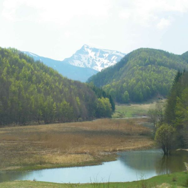 TOGOLOCO_SCHEDE_NATURA-PARCO DEL FRIGNANO_010
