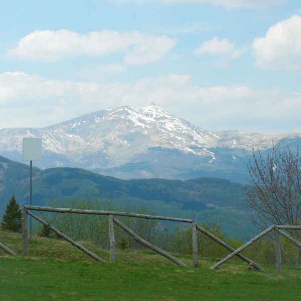 TOGOLOCO_SCHEDE_NATURA-PARCO DEL FRIGNANO_011