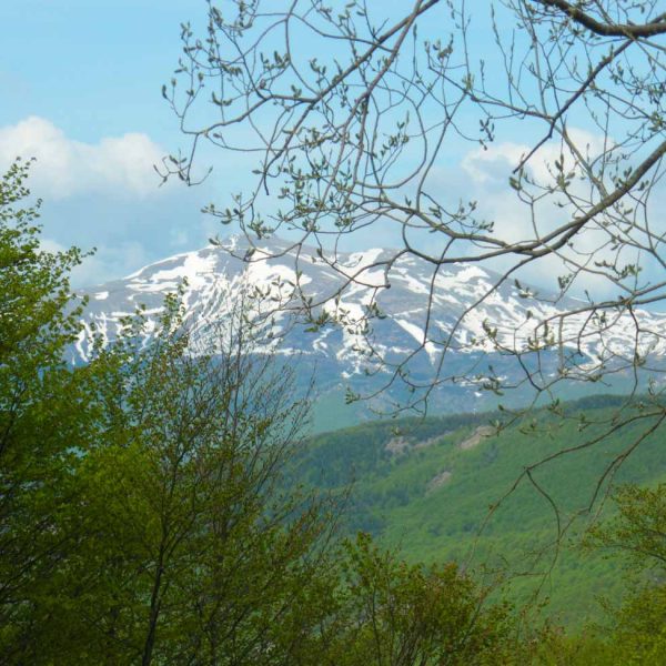 TOGOLOCO_SCHEDE_NATURA-PARCO DEL FRIGNANO_012