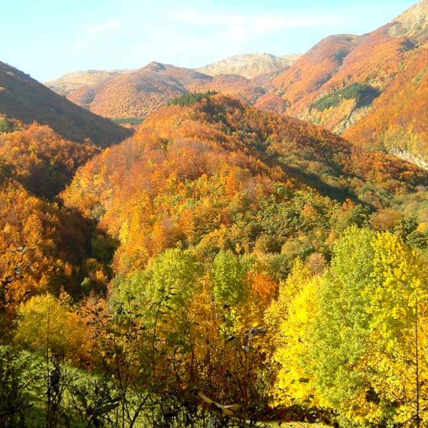 TOGOLOCO_SCHEDE_NATURA-PARCO DEL FRIGNANO_03