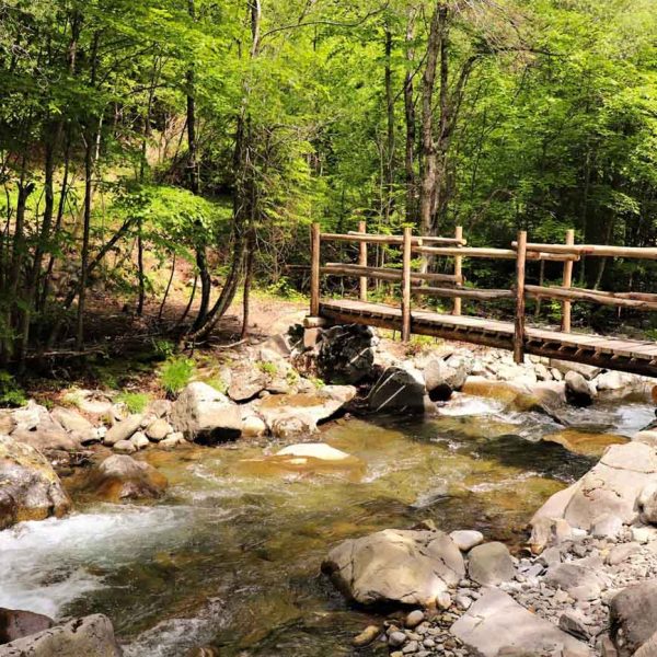 Sentiero delle cascate di Sant'Anna Pelago (MO): ponticello in legno