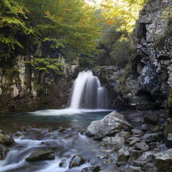 Sentiero delle cascate di Sant'Anna Pelago (MO): Rioo