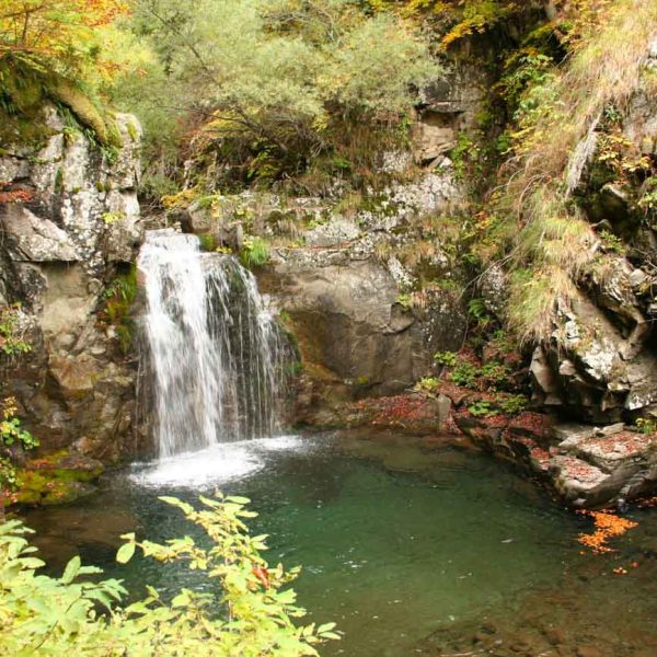 Sentiero delle cascate di Sant'Anna Pelago (MO): Rioo