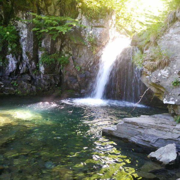 Sentiero delle cascate di Sant'Anna Pelago (MO): Rioo