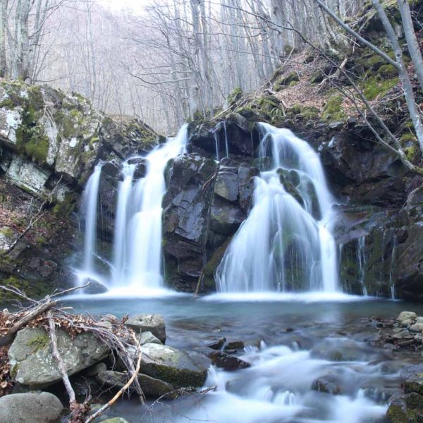 Sentiero delle cascate di Sant'Anna Pelago (MO): Terzino