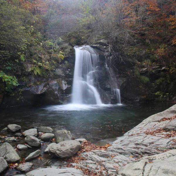 Sentiero delle cascate di Sant'Anna Pelago (MO): Terzino