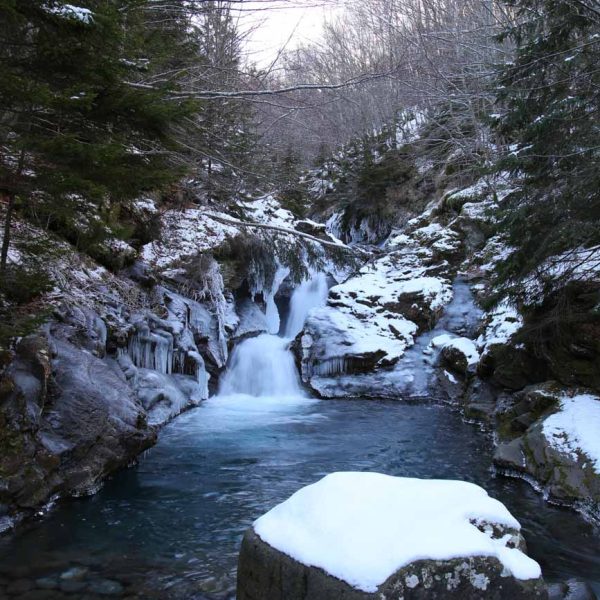 Sentiero delle cascate di Sant'Anna Pelago (MO): Pozzo del Pisano