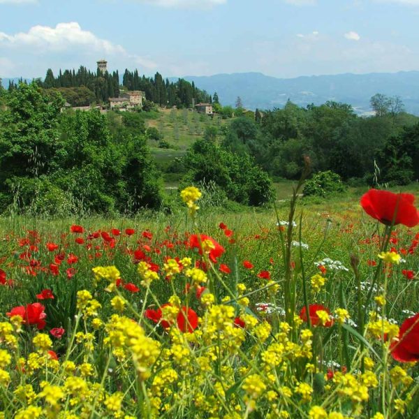 TOGOLOCO_SCHEDE_NATURA_ANTICHE-VIE-VIA-DEGLI-DEI_03