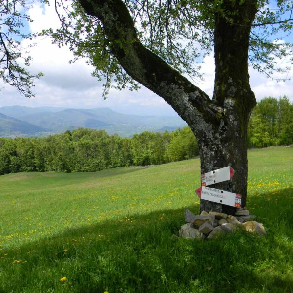 TOGOLOCO_SCHEDE_NATURA_ANTICHE-VIE-VIA-DEGLI-DEI_08