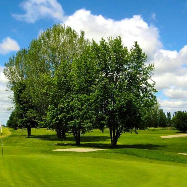 TOGOLOCO_SCHEDE_SPORT-E-RELAX-GOLF CLUB ARGENTA_02