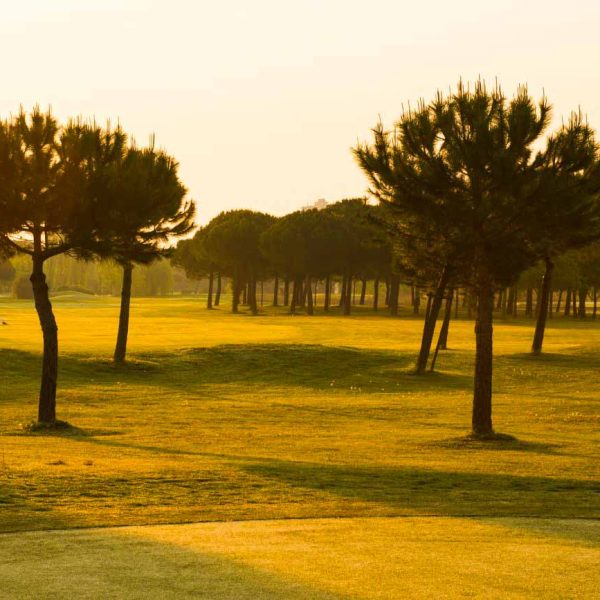 TOGOLOCO_SCHEDE_SPORT-E-RELAX-GOLF CLUB CERVIA_03