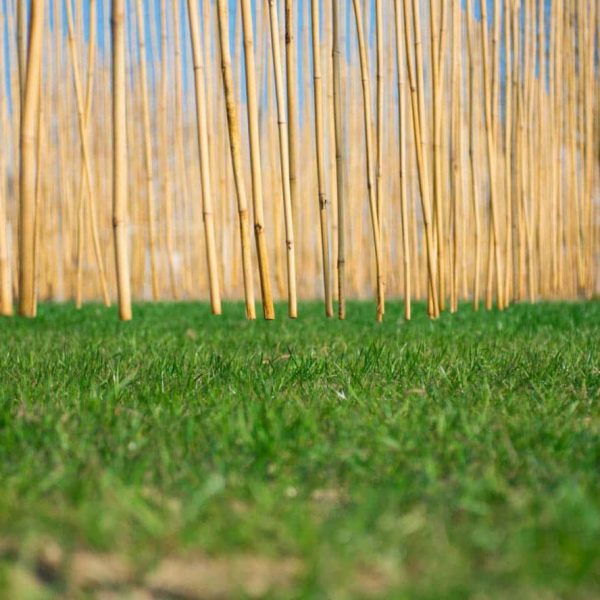TOGOLOCO_SCHEDE_SPORT E RELAX-LABIRINTO-DI-ALFONSINE_071