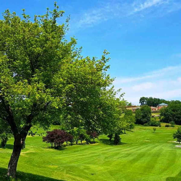TOGOLOCO_SCHEDE_SPORT-E-RELAX_GOLF CLUB SALSOMAGGIORE_06